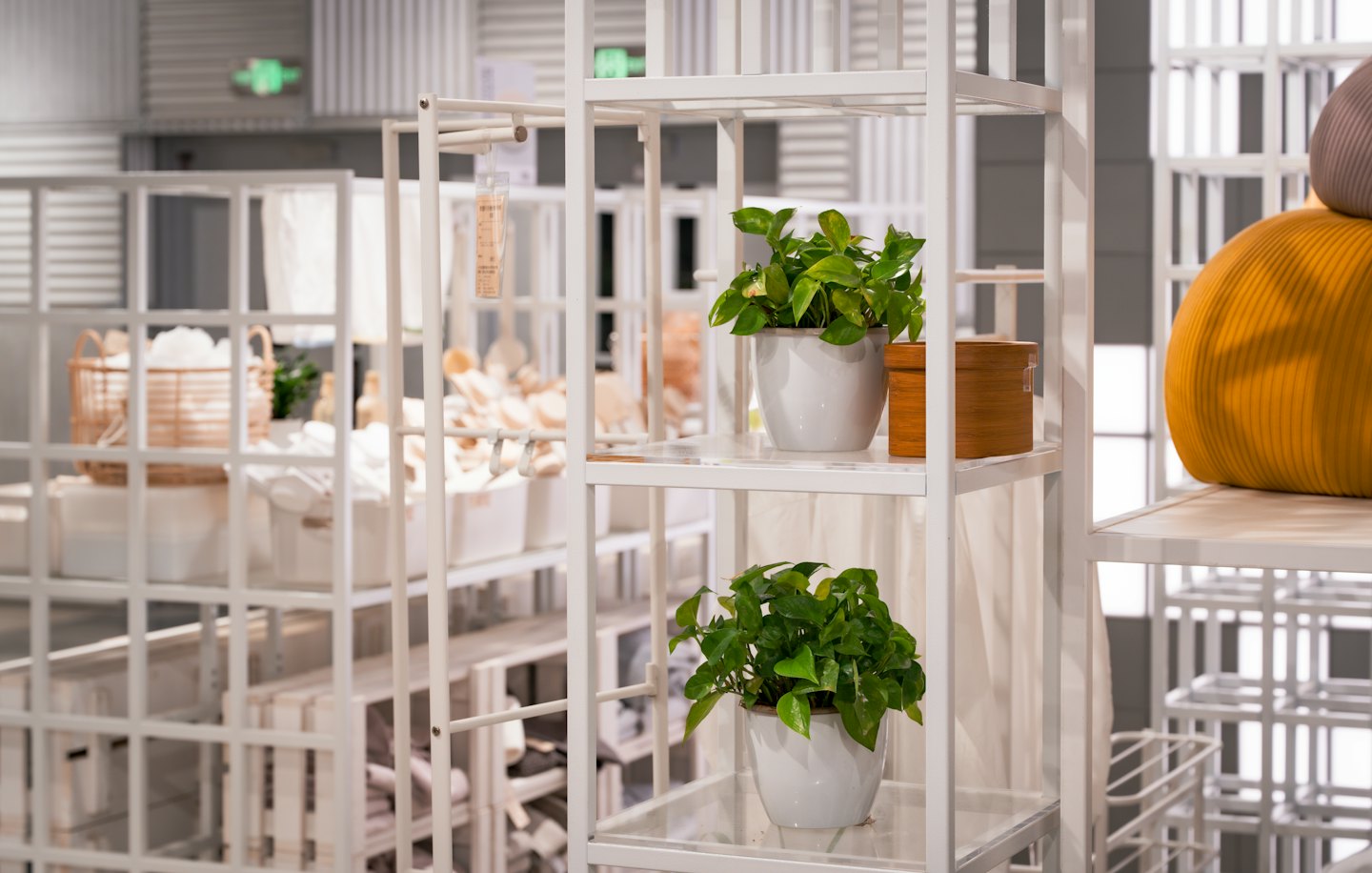 Retail store shelving with plants, boxes, and cushion.